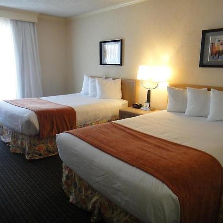 Los Prados Hotel San Mateo Ngoại thất bức ảnh