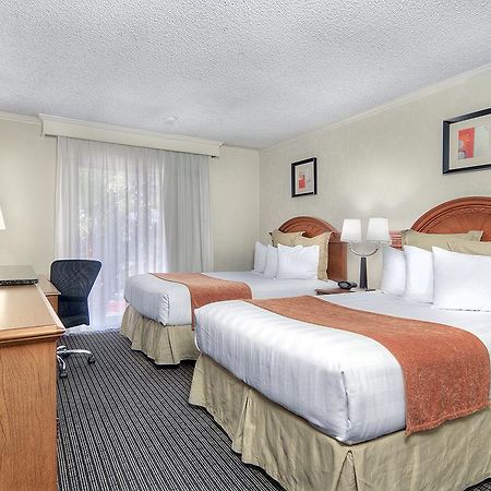 Los Prados Hotel San Mateo Ngoại thất bức ảnh