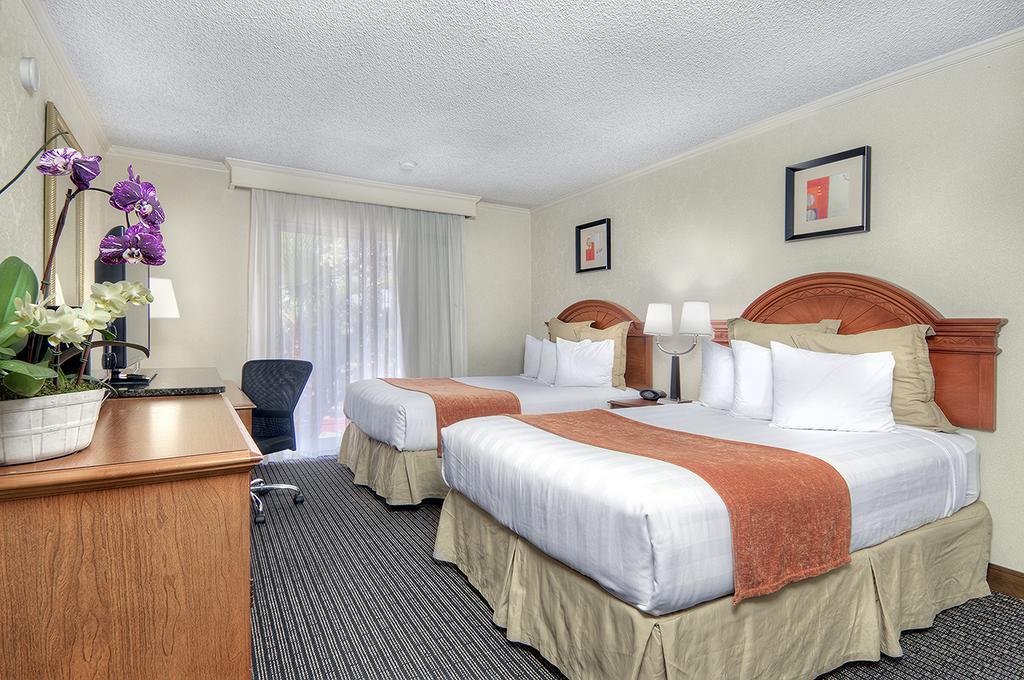 Los Prados Hotel San Mateo Ngoại thất bức ảnh